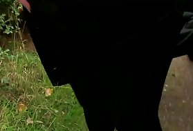 Incredibile tripla penetrazione per pulcini insaziabili